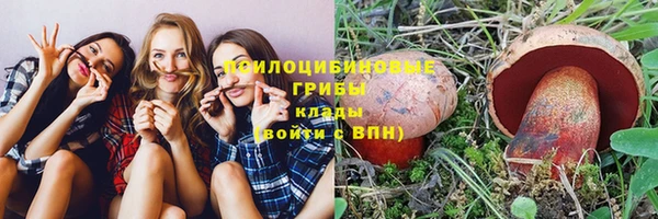 2c-b Алексин