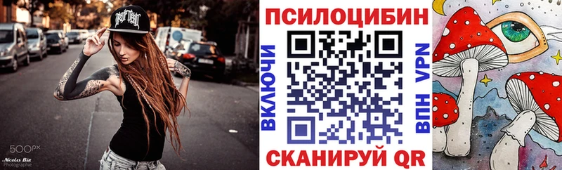 Галлюциногенные грибы GOLDEN TEACHER  сколько стоит  дарк нет телеграм  Дубна 